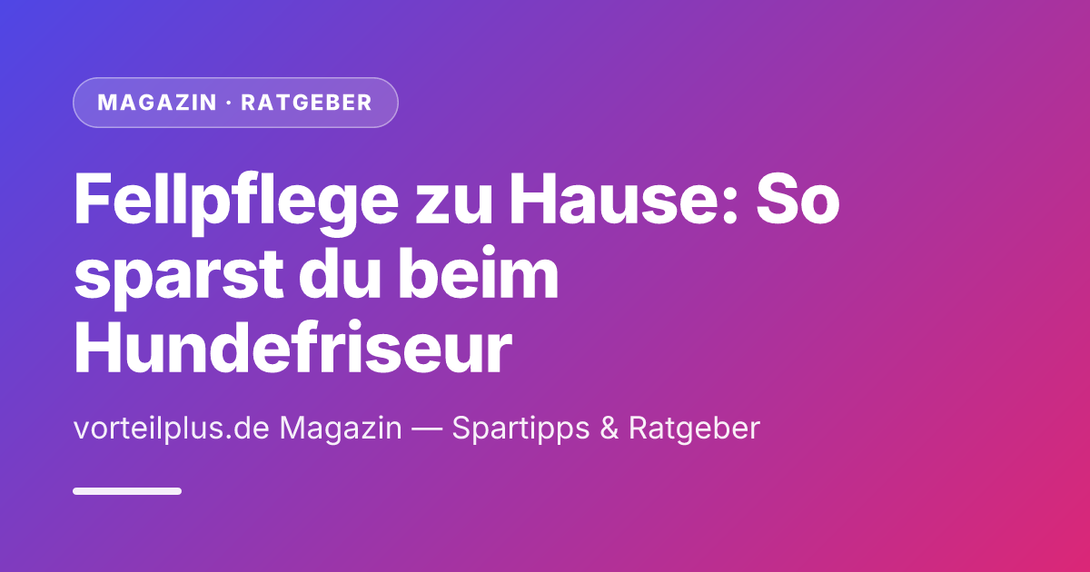 Fellpflege zu Hause: So sparst du beim Hundefriseur
